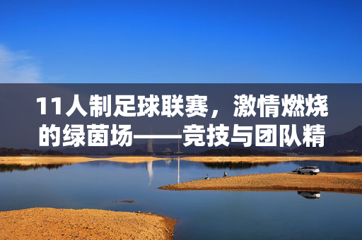 11人制足球联赛，激情燃烧的绿茵场——竞技与团队精神的完美体现，11人制足球联赛，激情燃烧的绿茵场——竞技与团队精神的完美体现