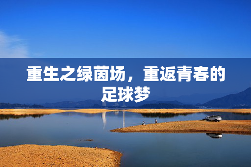 重生之绿茵场，重返青春的足球梦