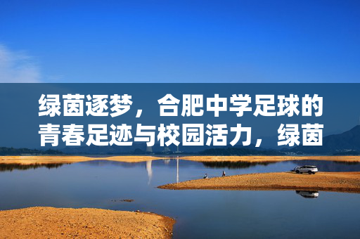 绿茵逐梦，合肥中学足球的青春足迹与校园活力，绿茵逐梦，合肥中学足球的青春足迹与校园活力
