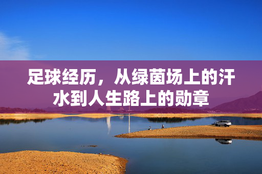 足球经历，从绿茵场上的汗水到人生路上的勋章