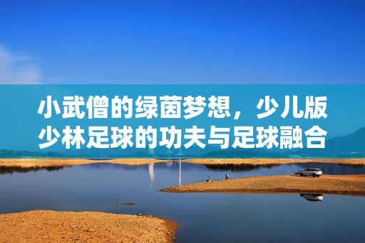 小武僧的绿茵梦想，少儿版少林足球的功夫与足球融合之美，小武僧的绿茵梦想，少林足球里的功夫与足球融合之美