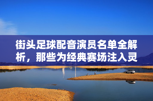 街头足球配音演员名单全解析，那些为经典赛场注入灵魂的声优们，街头足球配音演员全解析，那些为经典赛场注入灵魂的声优们