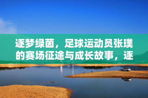 逐梦绿茵，足球运动员张璞的赛场征途与成长故事，逐梦绿茵，足球运动员张璞的赛场征途与成长故事