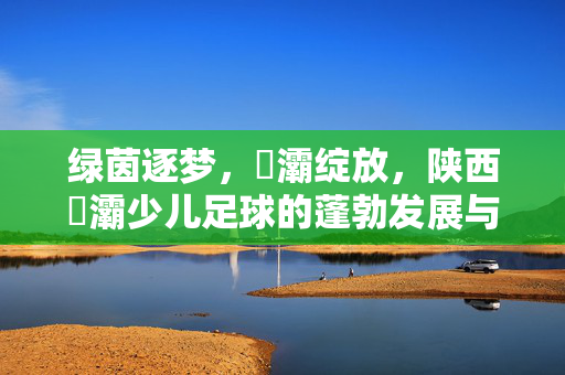 绿茵逐梦，浐灞绽放，陕西浐灞少儿足球的蓬勃发展与成长故事，绿茵逐梦，浐灞绽放，陕西浐灞少儿足球的蓬勃发展与成长故事