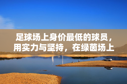 足球场上身价最低的球员，用实力与坚持，在绿茵场上书写不凡，足球场上身价最低的球员，用实力与坚持，在绿茵场上书写不凡