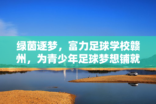 绿茵逐梦，富力足球学校赣州，为青少年足球梦想铺就坚实之路