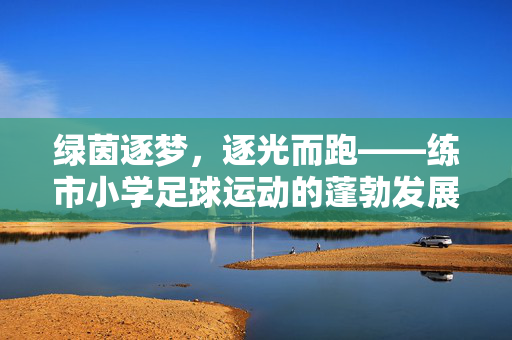 绿茵逐梦，逐光而跑——练市小学足球运动的蓬勃发展与育人价值，绿茵逐梦，逐光而跑——练市小学足球运动的蓬勃发展与育人价值