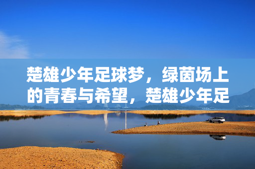 楚雄少年足球梦，绿茵场上的青春与希望，楚雄少年足球梦，绿茵场上的青春与希望