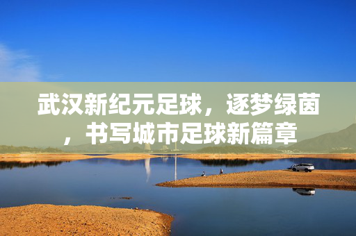 武汉新纪元足球，逐梦绿茵，书写城市足球新篇章