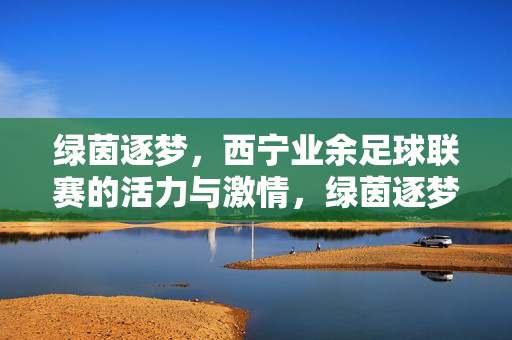 绿茵逐梦，西宁业余足球联赛的活力与激情，绿茵逐梦，西宁业余足球联赛的活力与激情