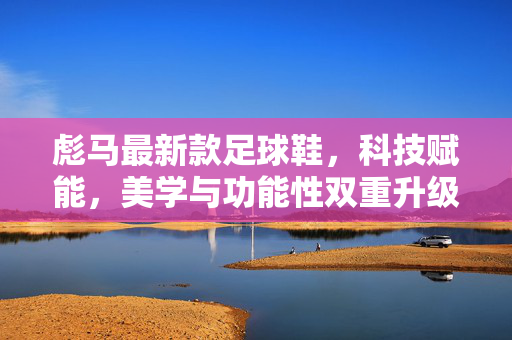 彪马最新款足球鞋，科技赋能，美学与功能性双重升级，点燃足球激情新篇章