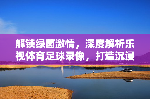 解锁绿茵激情，深度解析乐视体育足球录像，打造沉浸式观赛体验