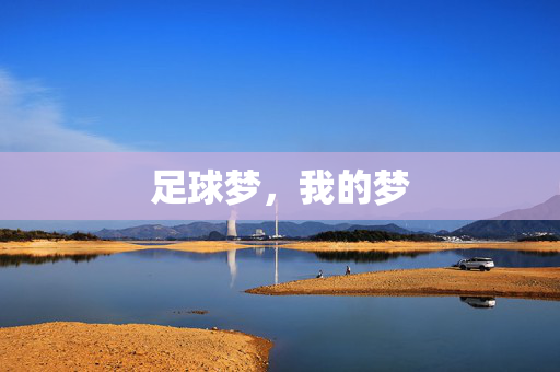 足球梦，我的梦