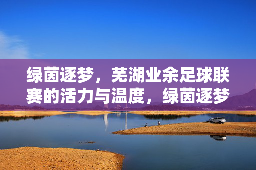 绿茵逐梦，芜湖业余足球联赛的活力与温度，绿茵逐梦，芜湖业余足球联赛的活力与温度