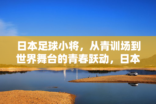 日本足球小将，从青训场到世界舞台的青春跃动，日本足球小将，从青训场到世界舞台的青春跃动