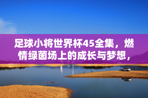 足球小将世界杯45全集，燃情绿茵场上的成长与梦想，经典动漫的永恒魅力
