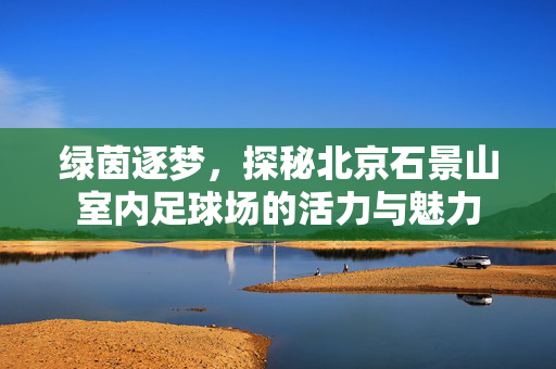 绿茵逐梦，探秘北京石景山室内足球场的活力与魅力