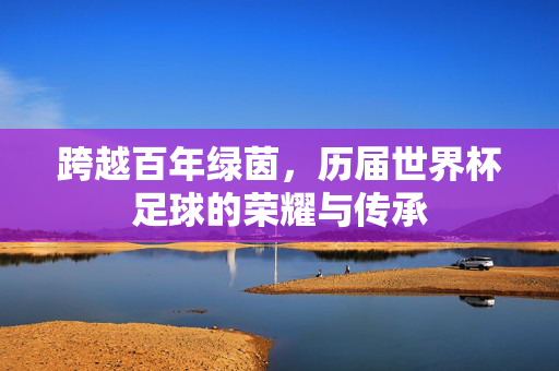 跨越百年绿茵，历届世界杯足球的荣耀与传承