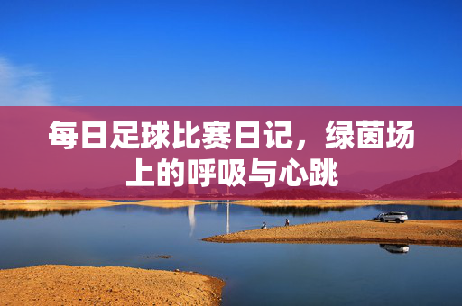 每日足球比赛日记，绿茵场上的呼吸与心跳