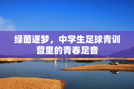 绿茵逐梦，中学生足球青训营里的青春足音