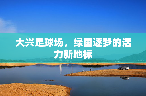大兴足球场,绿茵逐梦的活力新地标
