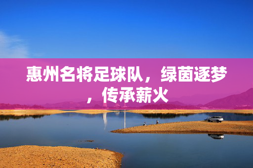 惠州名将足球队，绿茵逐梦，传承薪火