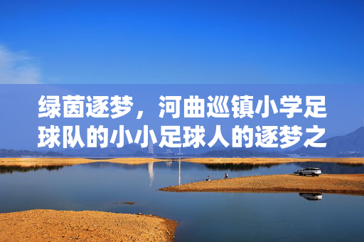绿茵逐梦，河曲巡镇小学足球队的小小足球人的逐梦之路，绿茵逐梦，河曲巡镇小学足球队的小小足球人的逐梦之路