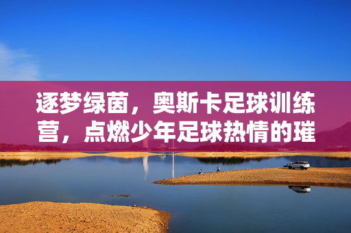 逐梦绿茵，奥斯卡足球训练营，点燃少年足球热情的璀璨星火，逐梦绿茵，奥斯卡足球训练营点燃少年足球热情的璀璨星火