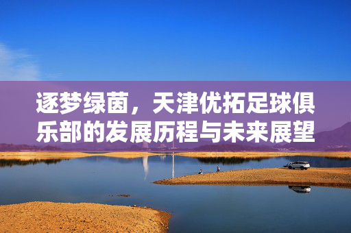 逐梦绿茵，天津优拓足球俱乐部的发展历程与未来展望
