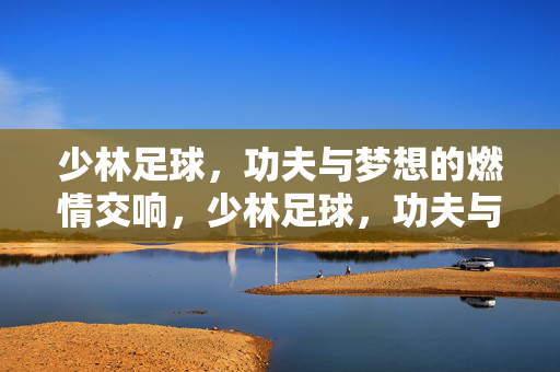 少林足球，功夫与梦想的燃情交响，少林足球，功夫与梦想的燃情交响