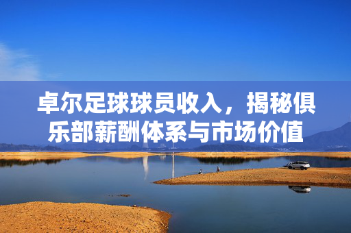 卓尔足球球员收入，揭秘俱乐部薪酬体系与市场价值