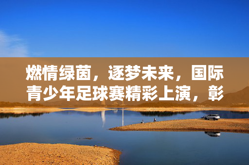 燃情绿茵，逐梦未来，国际青少年足球赛精彩上演，彰显体育精神与青春活力