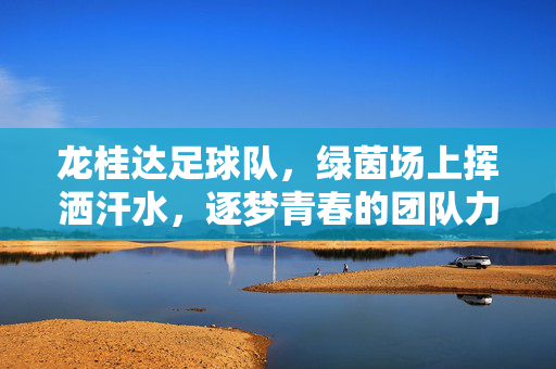 龙桂达足球队，绿茵场上挥洒汗水，逐梦青春的团队力量