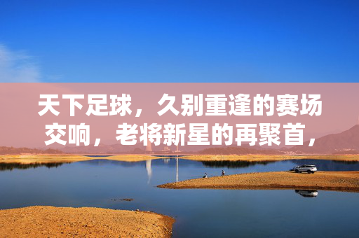 天下足球，久别重逢的赛场交响，老将新星的再聚首，天下足球，久别重逢的赛场交响，老将新星的再聚首