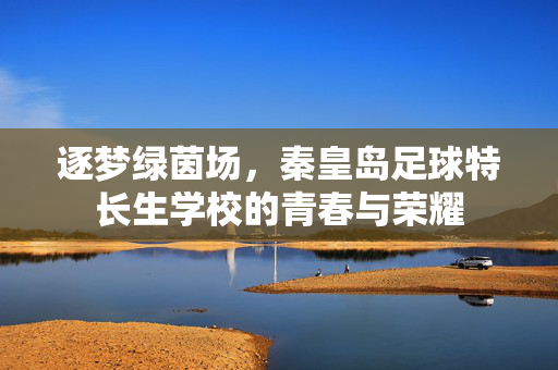 逐梦绿茵场，秦皇岛足球特长生学校的青春与荣耀