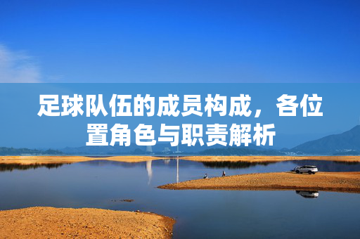 足球队伍的成员构成，各位置角色与职责解析