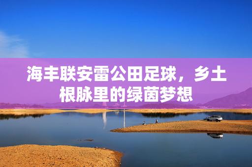海丰联安雷公田足球，乡土根脉里的绿茵梦想