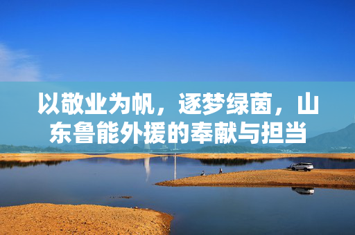 以敬业为帆，逐梦绿茵，山东鲁能外援的奉献与担当