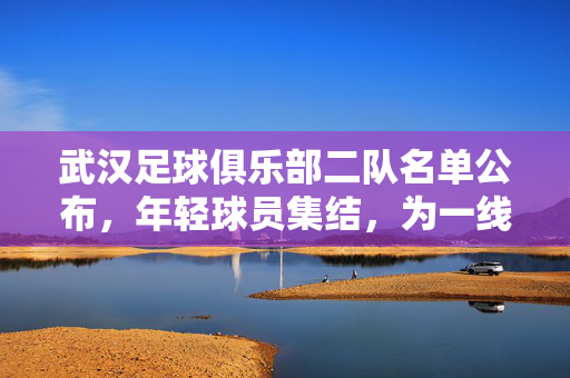 武汉足球俱乐部二队名单公布，年轻球员集结，为一线队储备未来力量，武汉足球俱乐部二队名单公布，年轻球员集结，为一线队储备未来力量