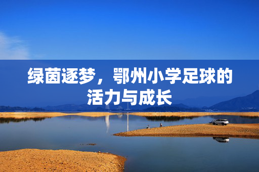 绿茵逐梦，鄂州小学足球的活力与成长