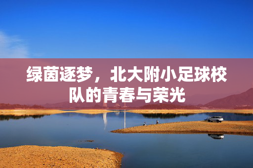 绿茵逐梦，北大附小足球校队的青春与荣光