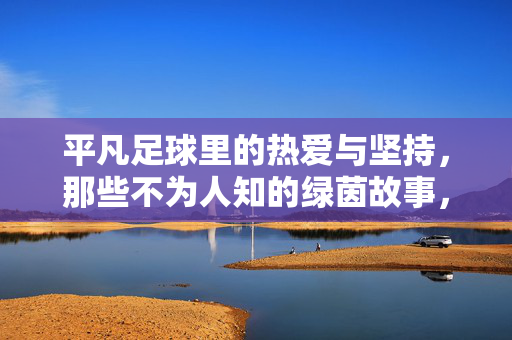 平凡足球里的热爱与坚持，那些不为人知的绿茵故事，平凡足球里的热爱与坚持，那些不为人知的绿茵故事