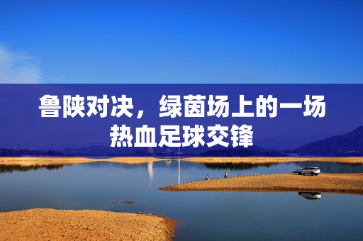 鲁陕对决，绿茵场上的一场热血足球交锋