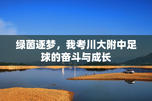 绿茵逐梦，我考川大附中足球的奋斗与成长