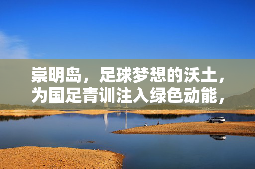 崇明岛，足球梦想的沃土，为国足青训注入绿色动能，崇明岛，足球梦想的沃土，为国足青训注入绿色动能