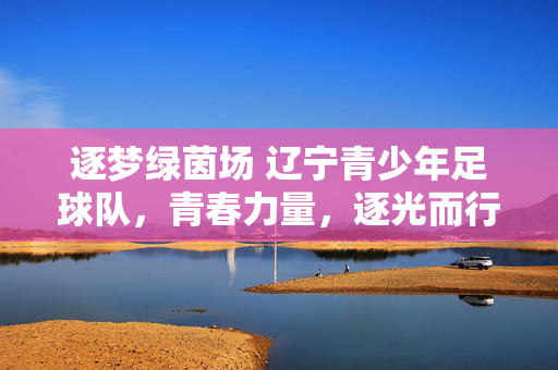 逐梦绿茵场 辽宁青少年足球队，青春力量，逐光而行，逐梦绿茵场 辽宁青少年足球队，青春力量，逐光而行