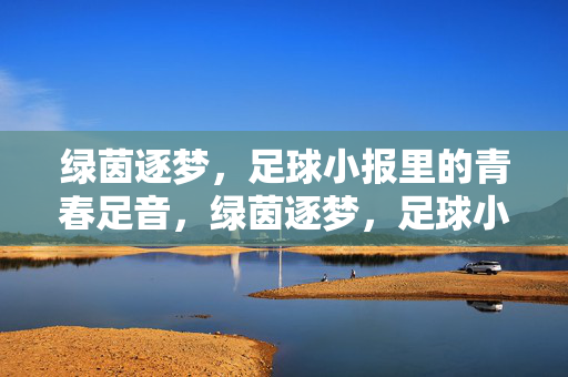 绿茵逐梦，足球小报里的青春足音，绿茵逐梦，足球小报里的青春足音