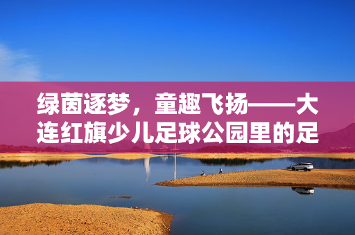 绿茵逐梦，童趣飞扬——大连红旗少儿足球公园里的足球少年成长记，绿茵逐梦，童趣飞扬——大连红旗少儿足球公园里的足球少年成长记