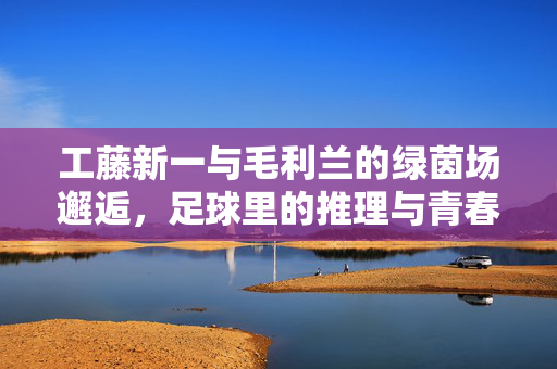 工藤新一与毛利兰的绿茵场邂逅，足球里的推理与青春羁绊，工藤新一与毛利兰的绿茵场邂逅，足球里的推理与青春羁绊