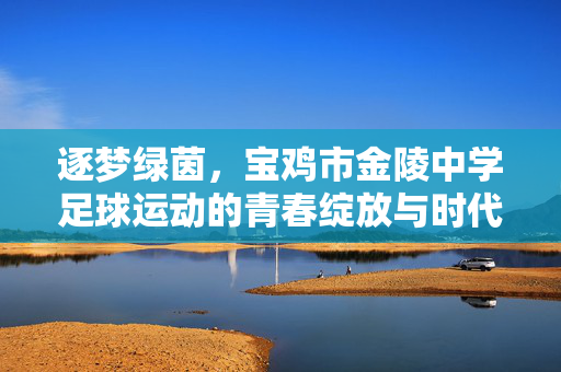 逐梦绿茵，宝鸡市金陵中学足球运动的青春绽放与时代荣光
